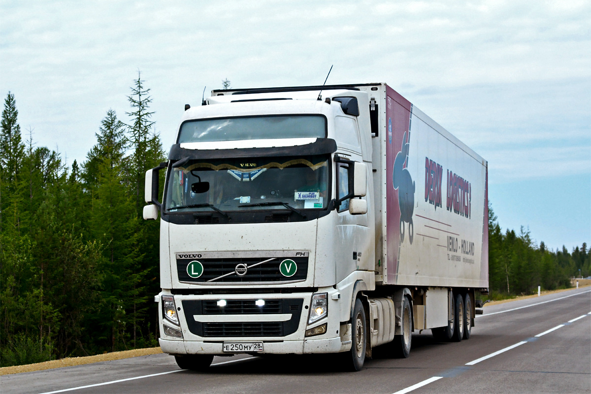 Амурская область, № Е 250 МУ 28 — Volvo ('2008) FH.460; Амурская область, № АР 4547 28 — Schmitz Cargobull S.KO (общая модель)