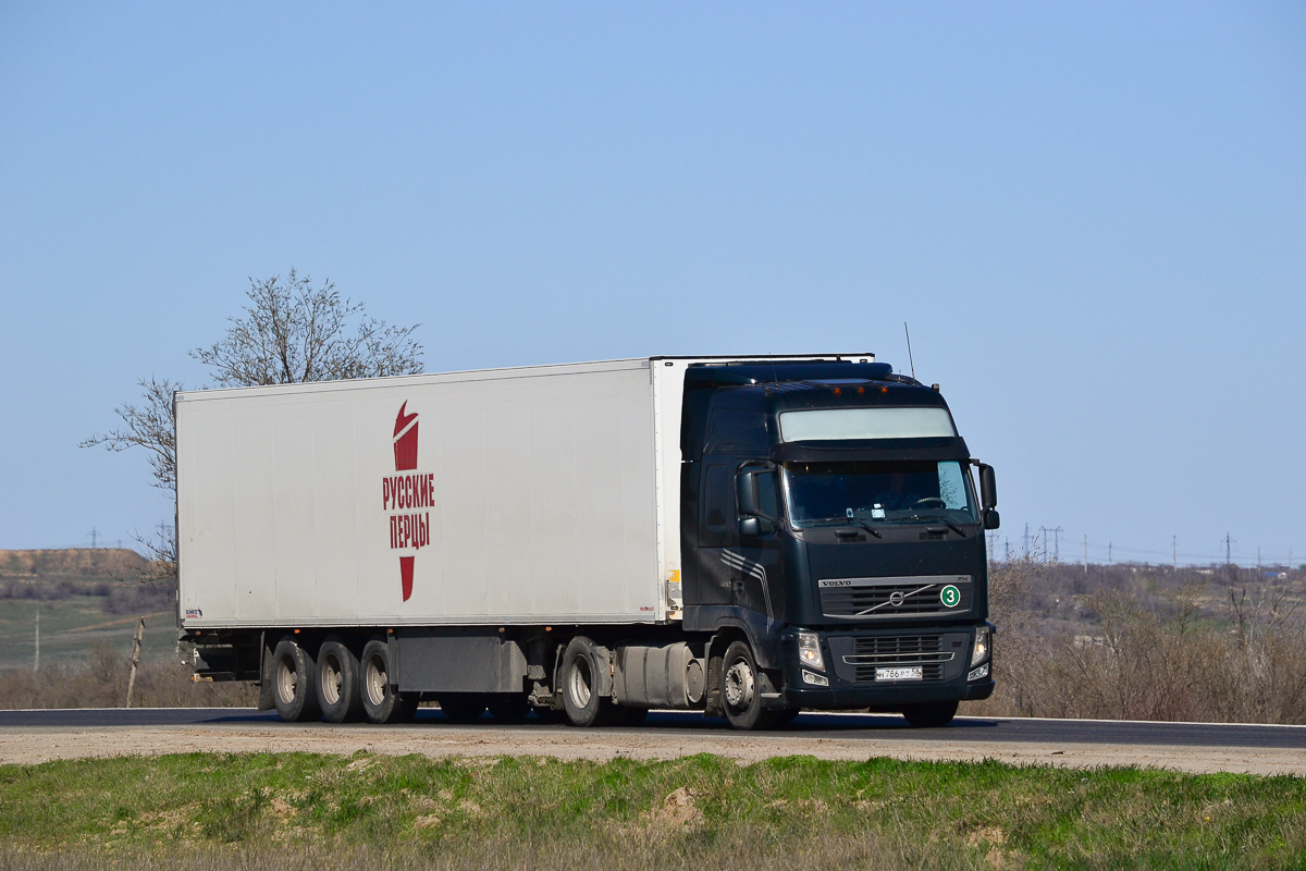 Пензенская область, № Н 786 РТ 58 — Volvo ('2008) FH.480