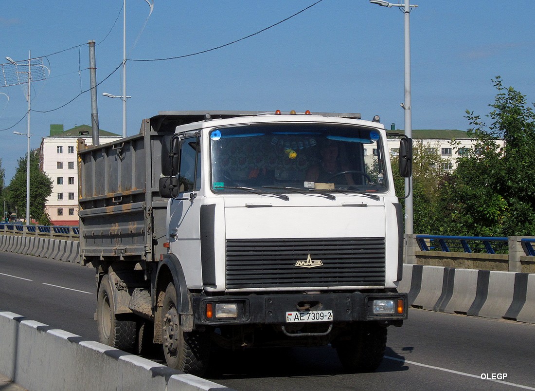 Витебская область, № АЕ 7309-2 — МАЗ-5551 (общая модель)