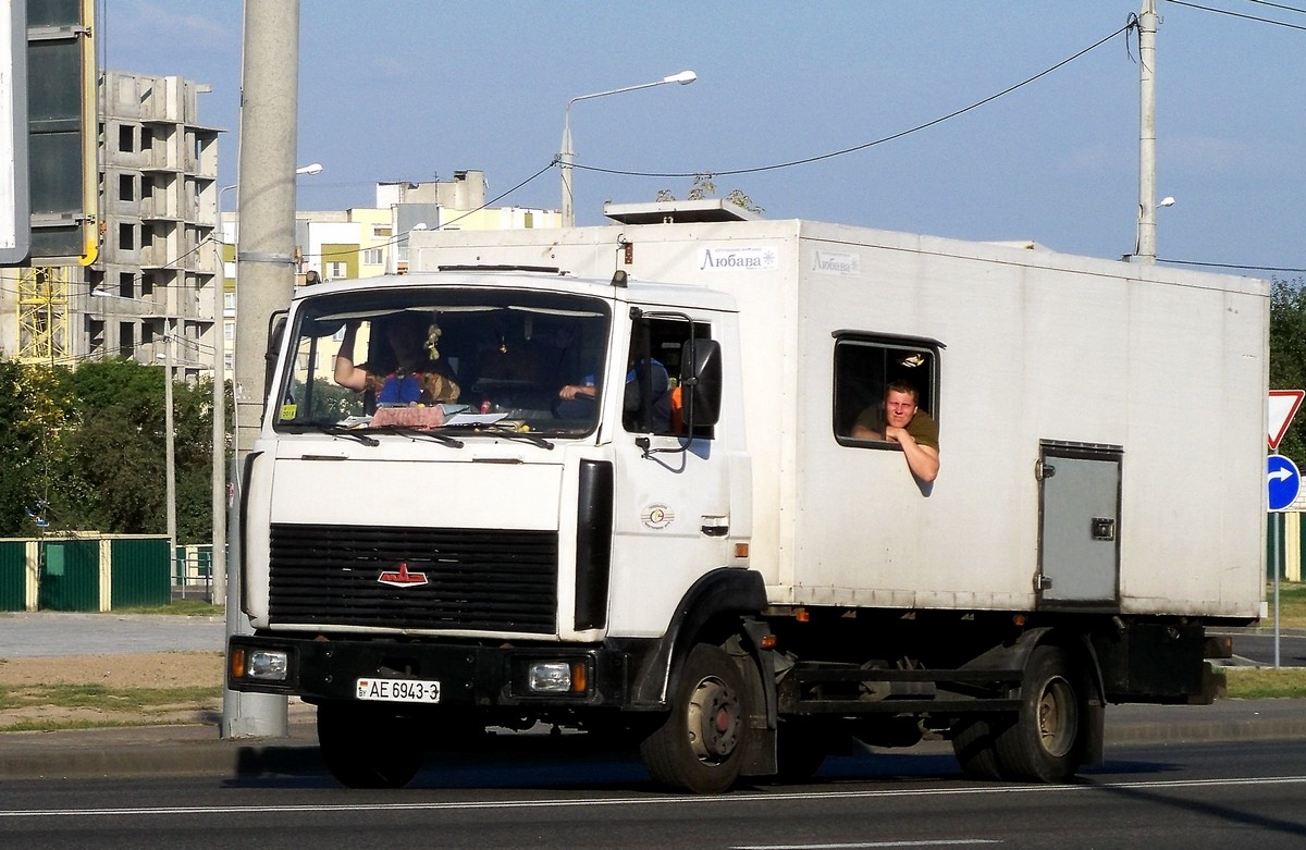 Гомельская область, № АЕ 6943-3 — МАЗ-4370 (общая модель)