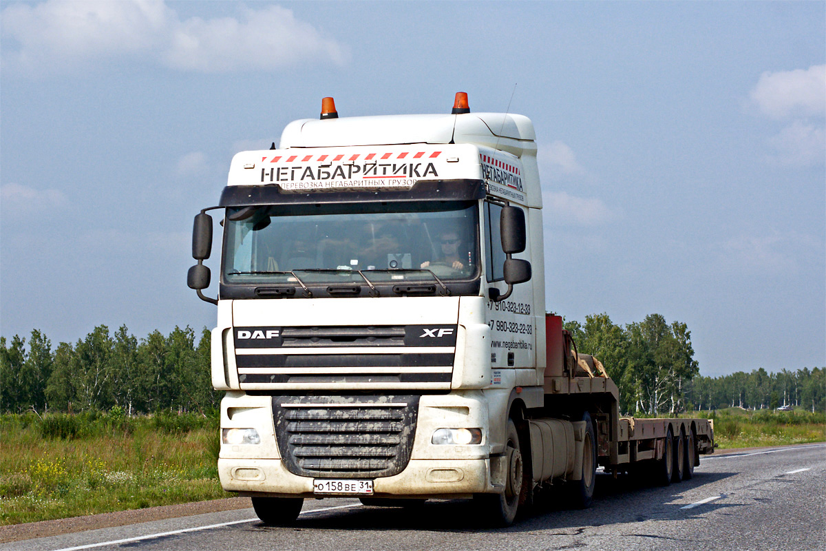 Белгородская область, № О 158 ВЕ 31 — DAF XF105 FT