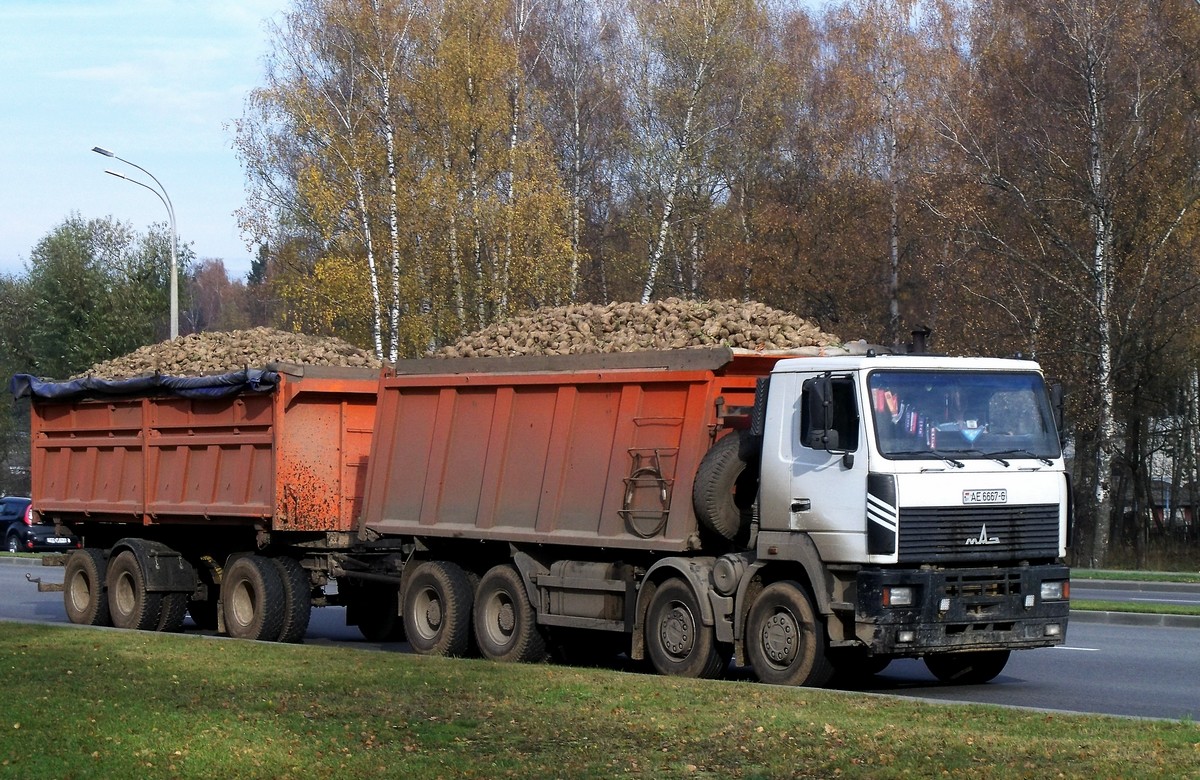 Могилёвская область, № АЕ 6667-6 — МАЗ-6516 (общая модель)