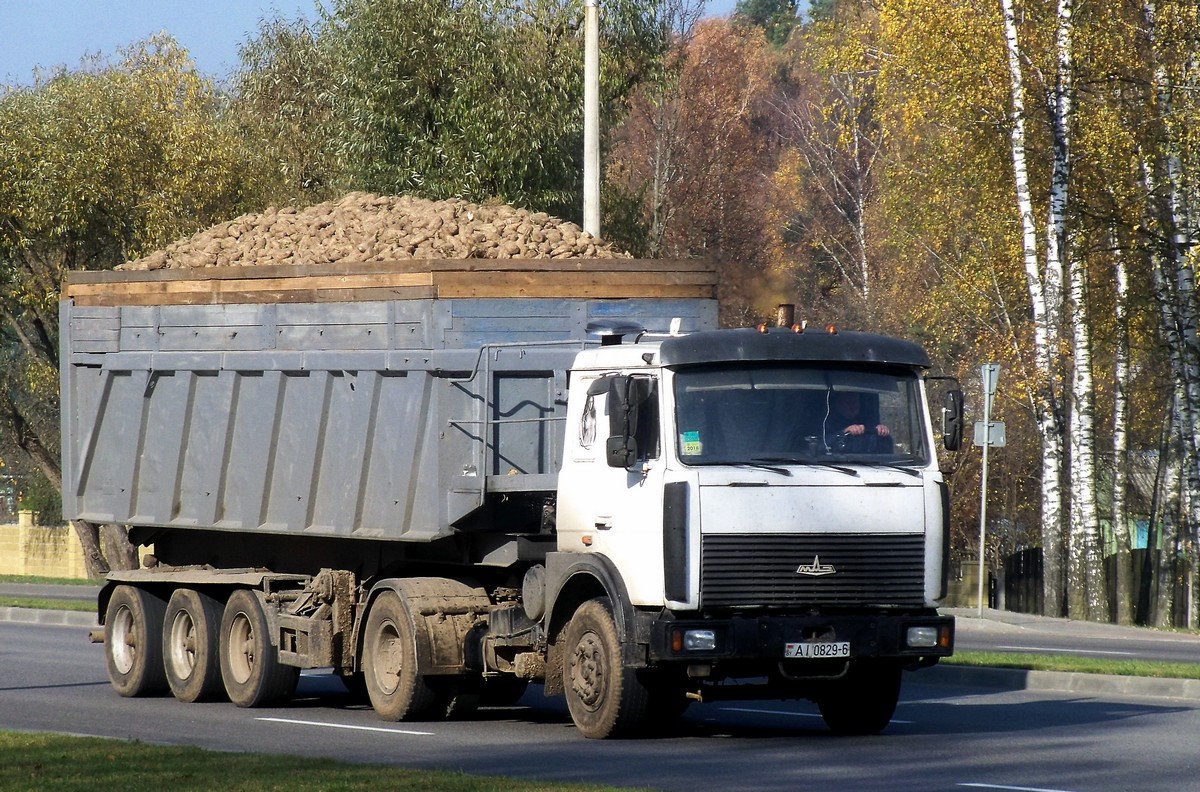 Могилёвская область, № АІ 0829-6 — МАЗ-5432 (общая модель)