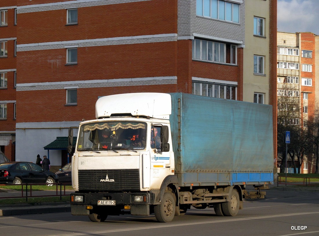 Витебская область, № АЕ 8115-2 — МАЗ-4370 (общая модель)