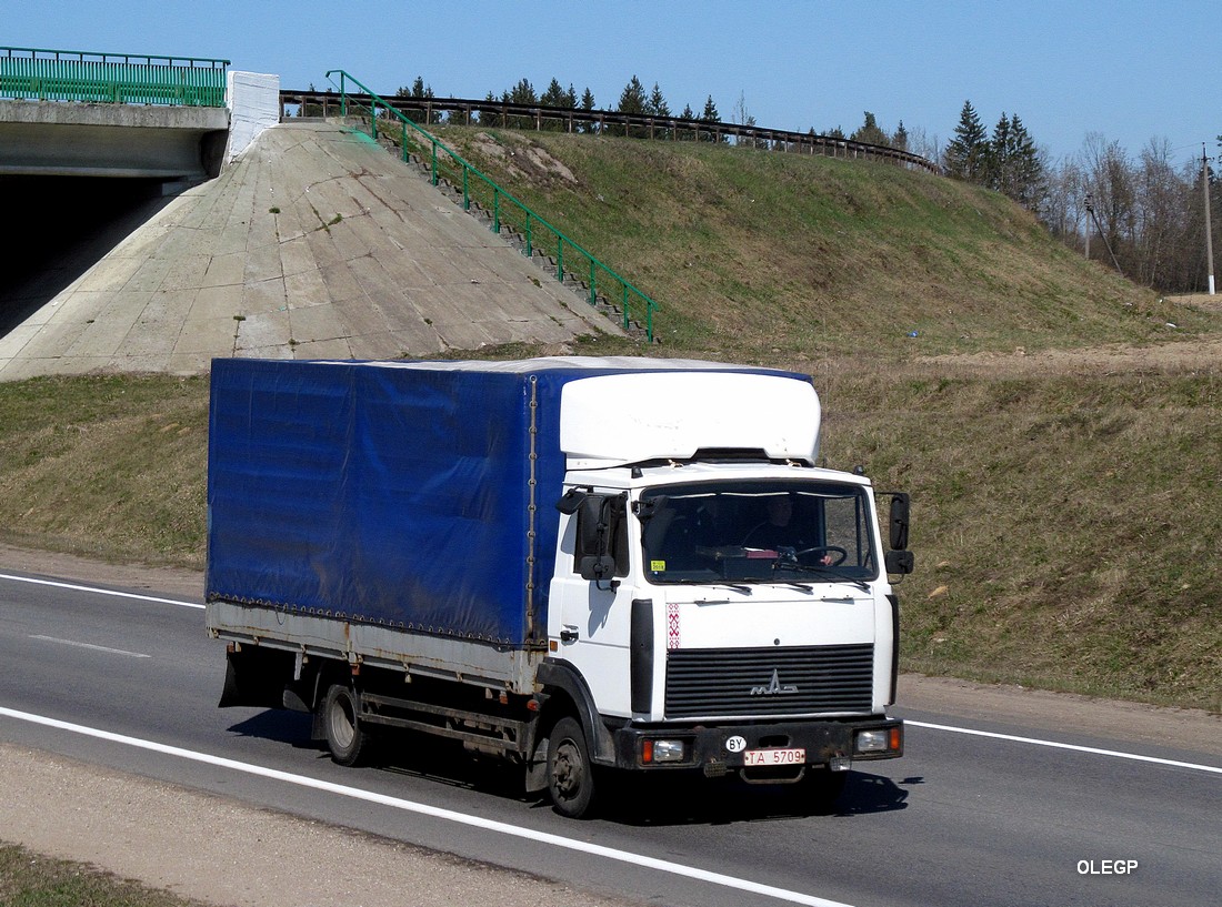 Могилёвская область, № ТА 5709 — МАЗ-4370 (общая модель)