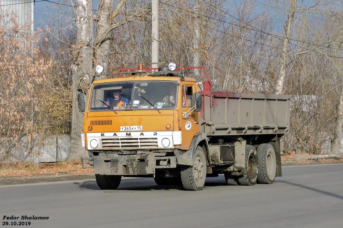 Курганская область, № Т 265 КУ 45 — КамАЗ-53213
