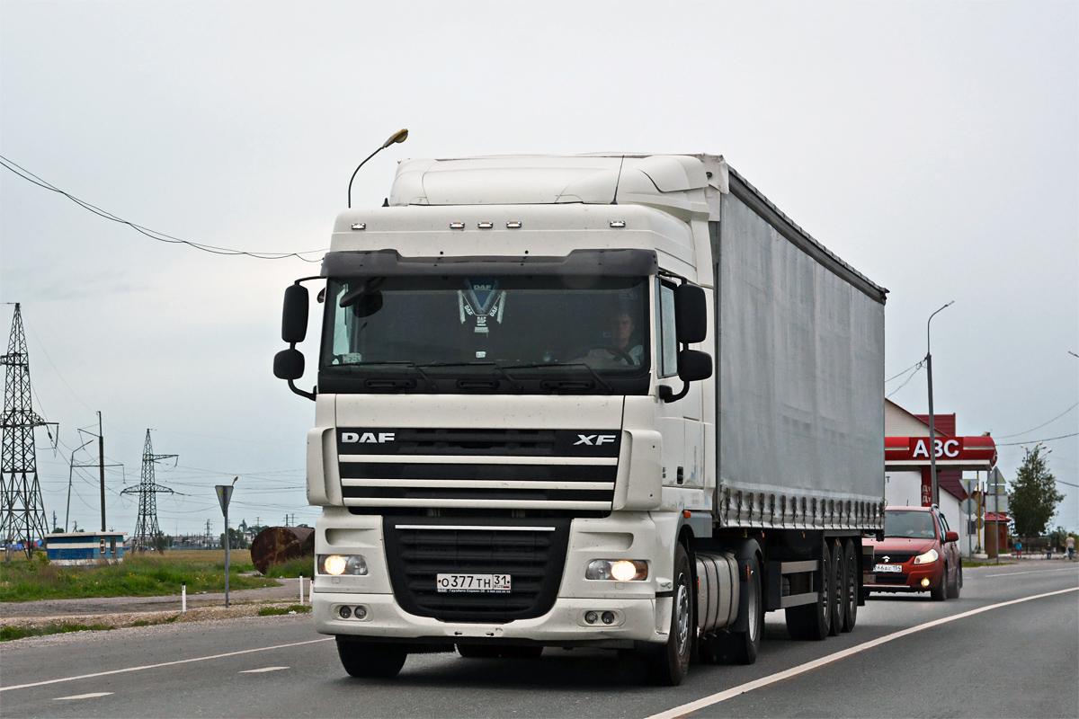 Белгородская область, № О 377 ТН 31 — DAF XF105 FT