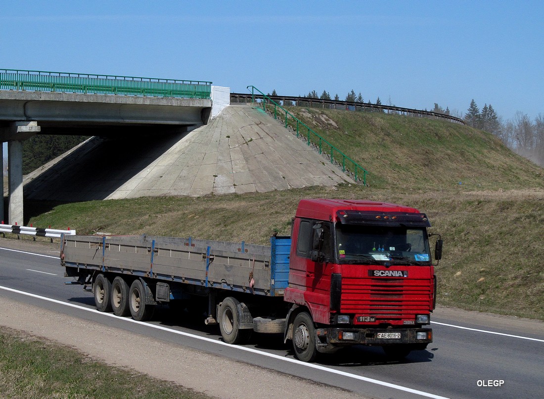 Витебская область, № АЕ 8016-2 — Scania (III) R113M