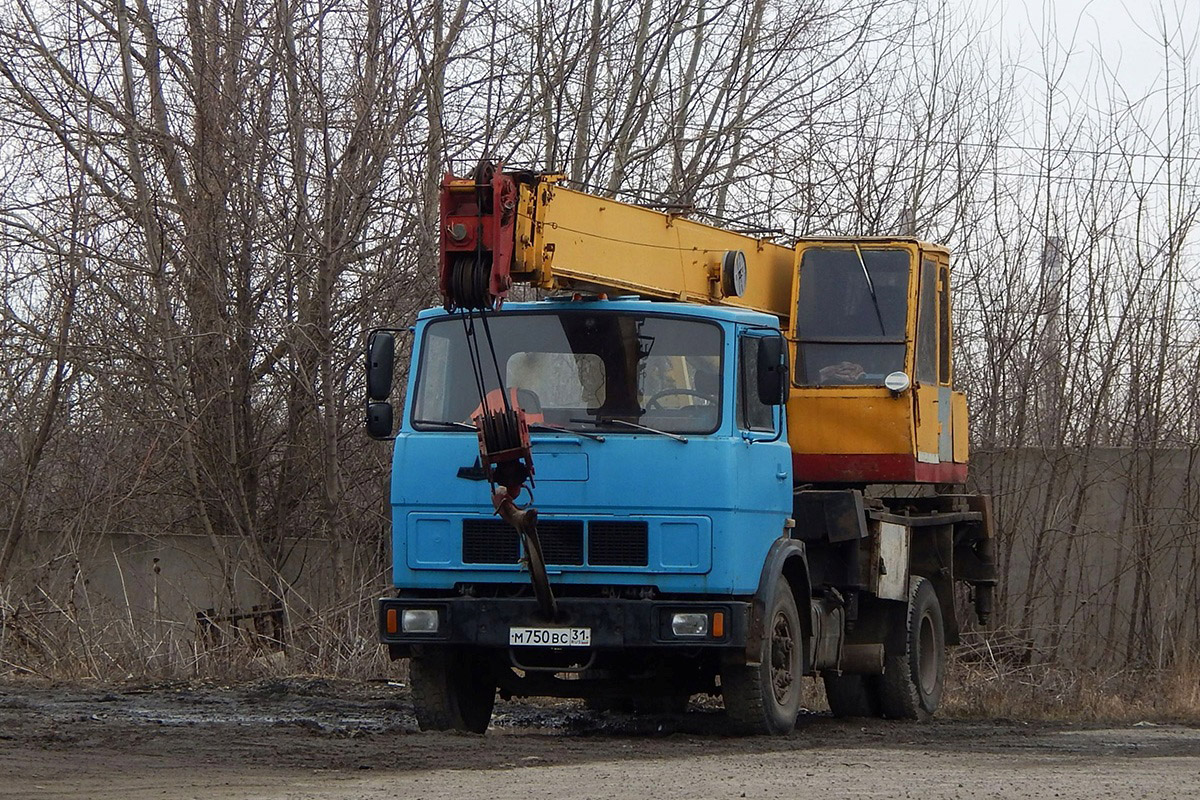 Белгородская область, № М 750 ВС 31 — МАЗ-53371