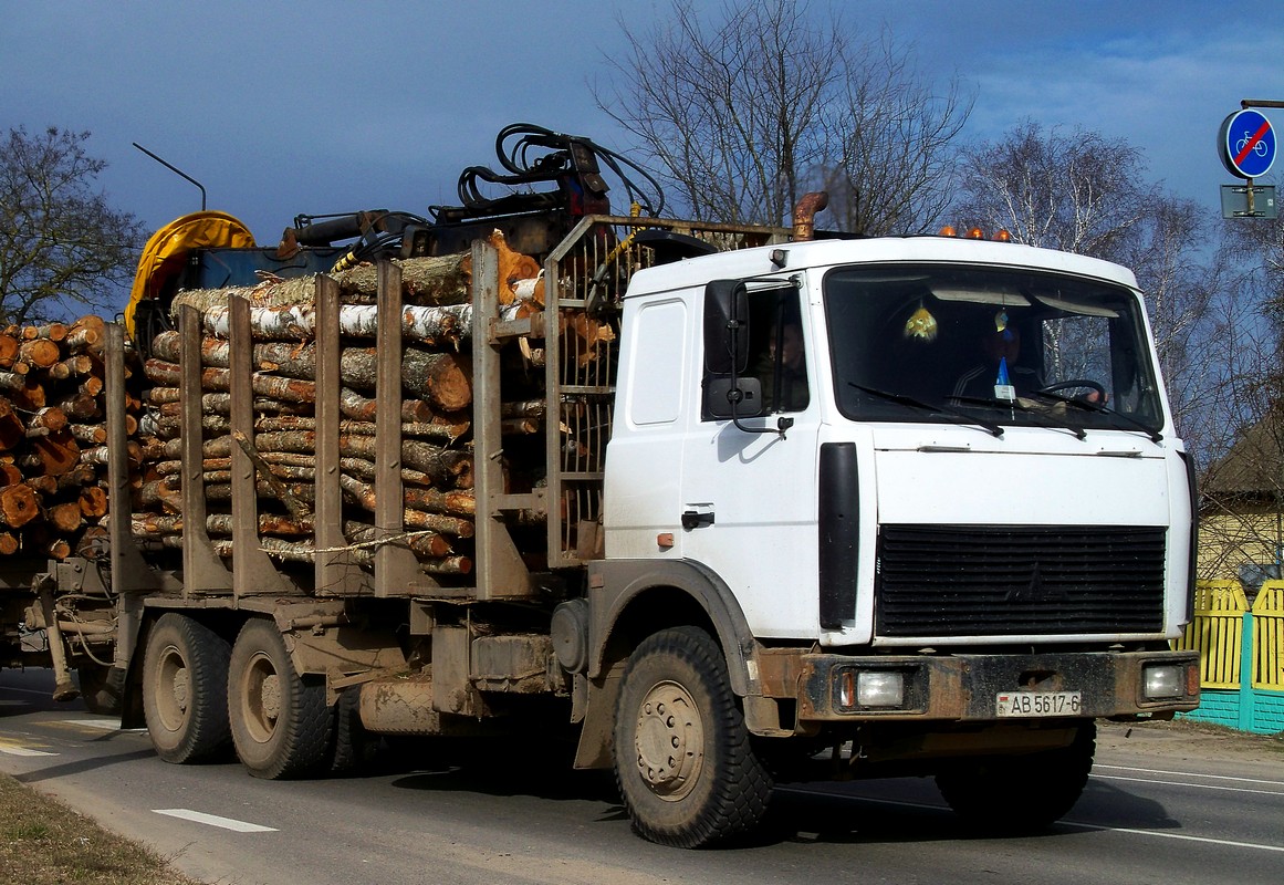 Могилёвская область, № АВ 5617-6 — МАЗ-6303 (общая модель)