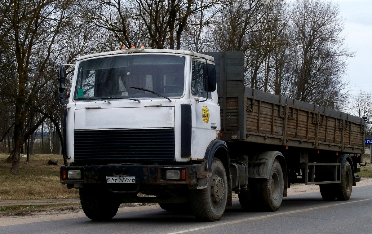 Могилёвская область, № АЕ 3723-6 — МАЗ-5433 (общая модель)