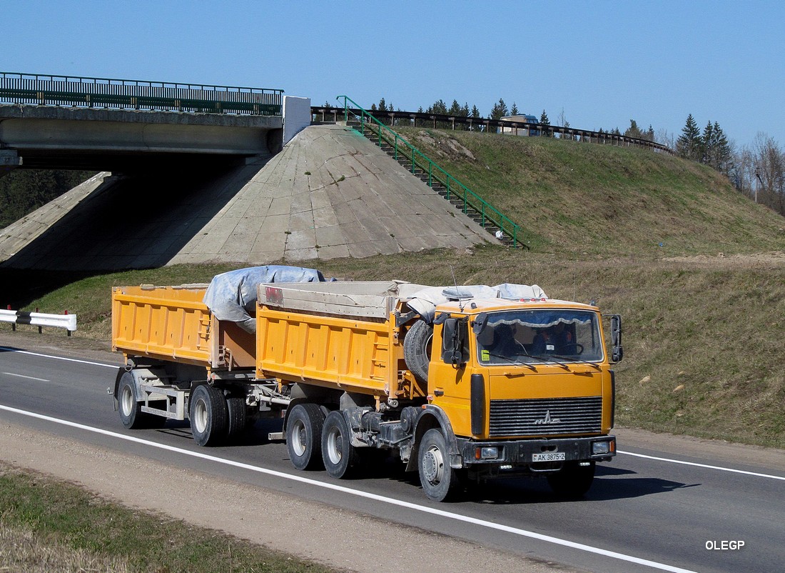 Витебская область, № АК 3875-2 — МАЗ-5516 (общая модель)