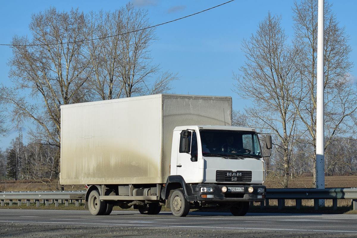 Волгоградская область, № Е 828 РУ 36 — MAN LE (общая модель)