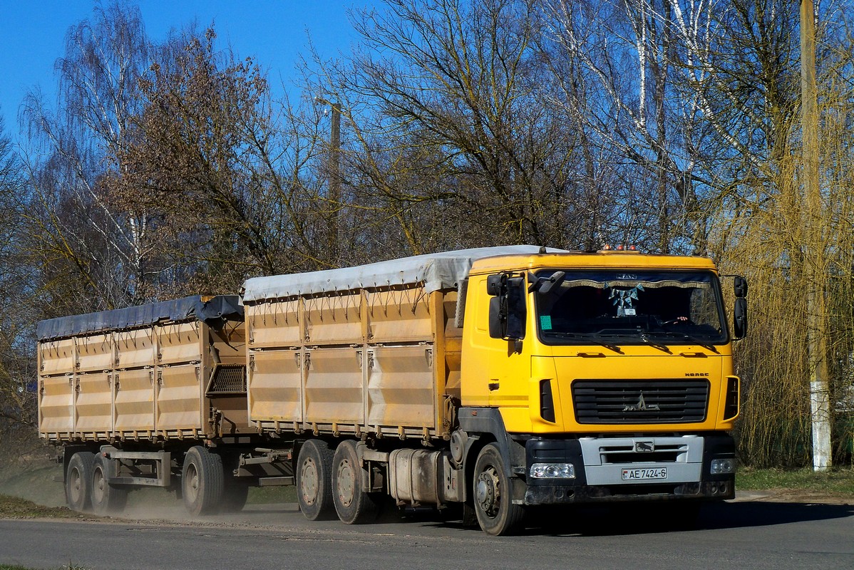 Могилёвская область, № АЕ 7424-6 — МАЗ-6501 (общая модель)