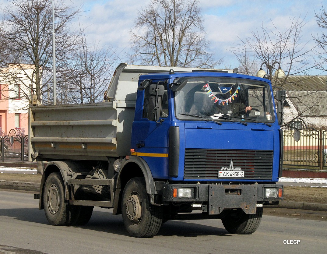 Витебская область, № АК 4968-2 — МАЗ-5551 (общая модель)