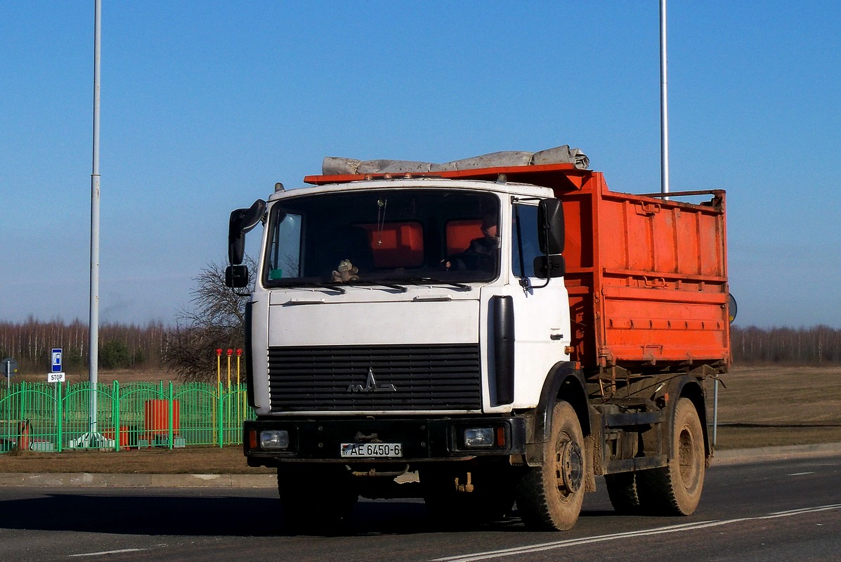 Могилёвская область, № АЕ 6450-6 — МАЗ-5551 (общая модель)