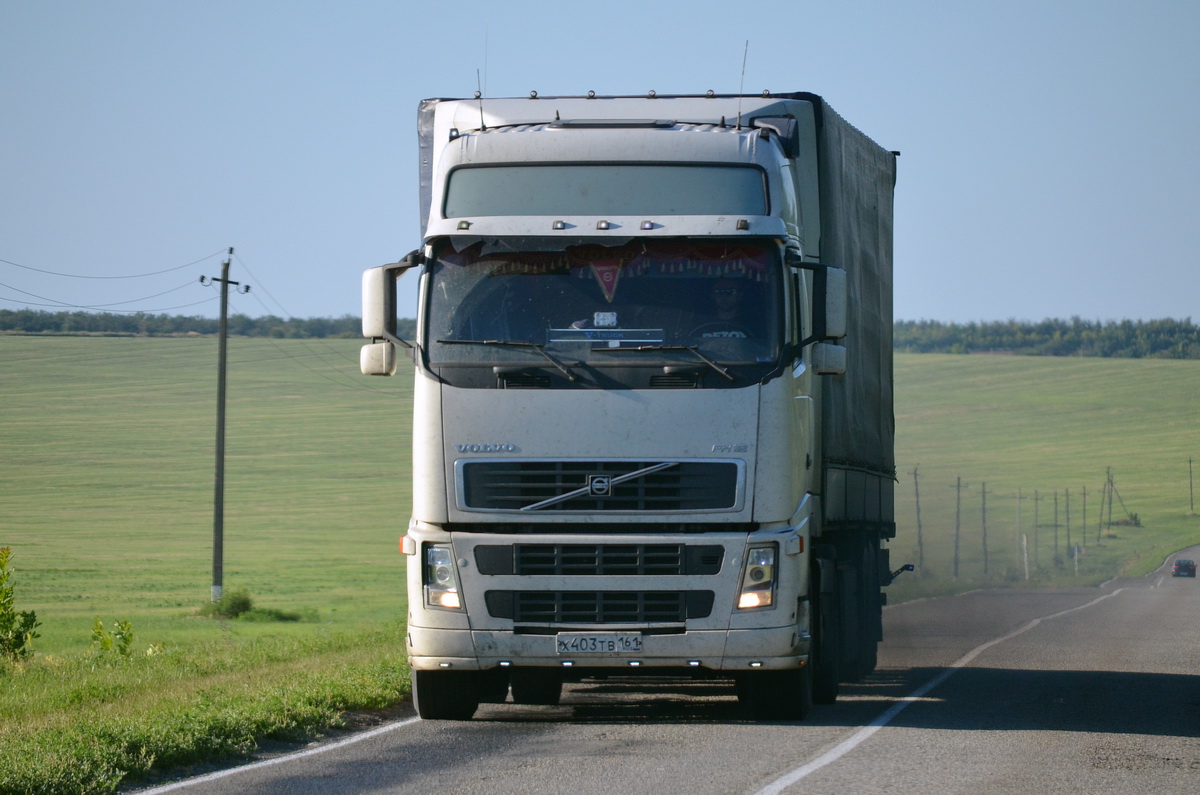 Ростовская область, № Х 403 ТВ 161 — Volvo ('2002) FH12.420