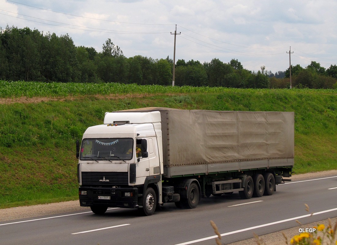 Гомельская область, № АІ 7217-3 — МАЗ-5440 (общая модель)