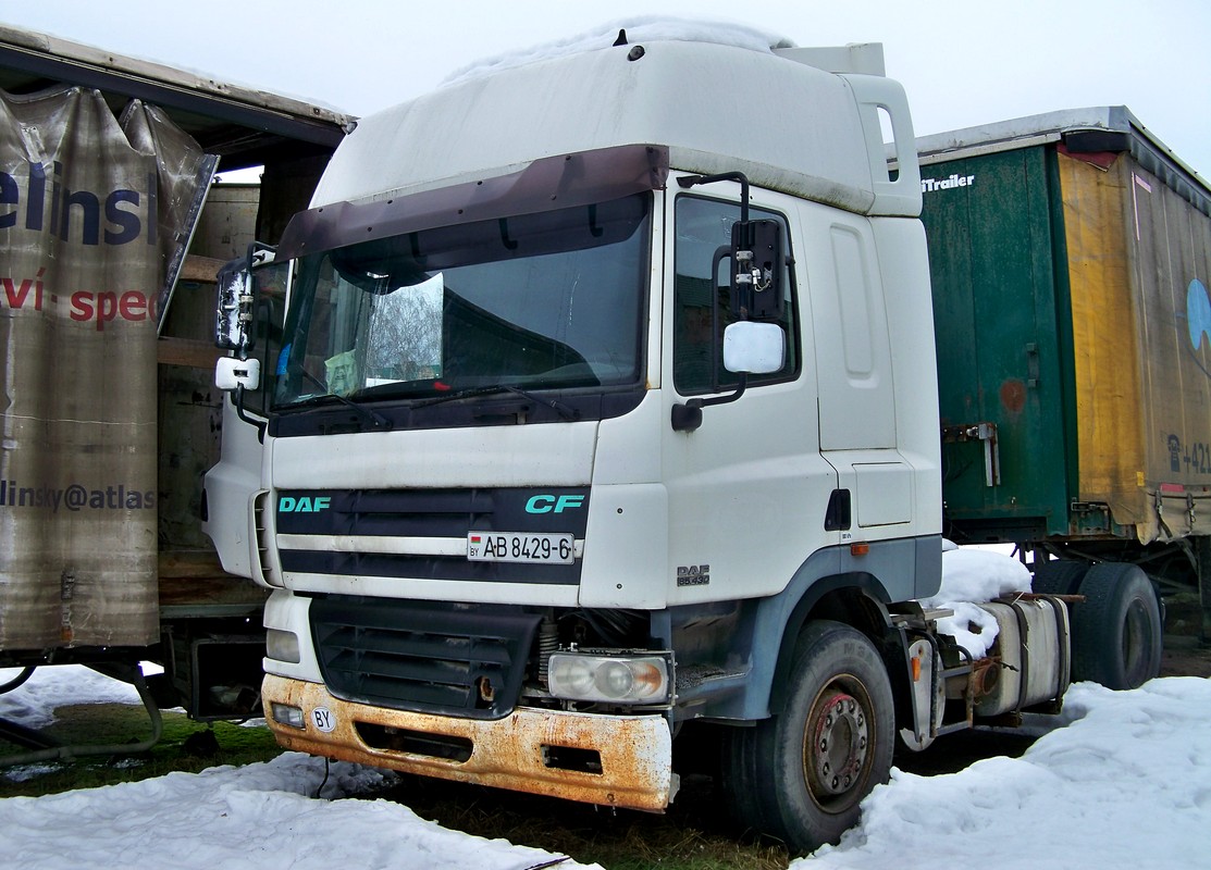 Могилёвская область, № АВ 8429-6 — DAF CF85 FT