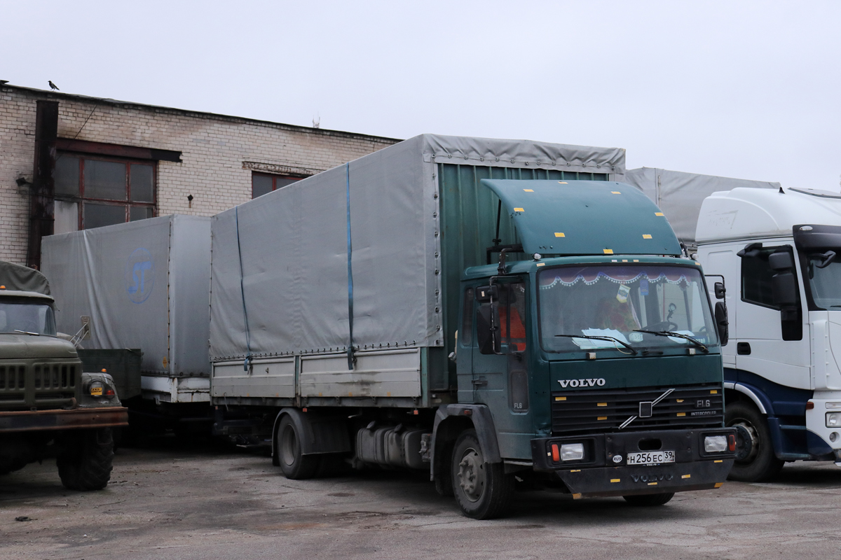 Калининградская область, № Н 256 ЕС 39 — Volvo FL6