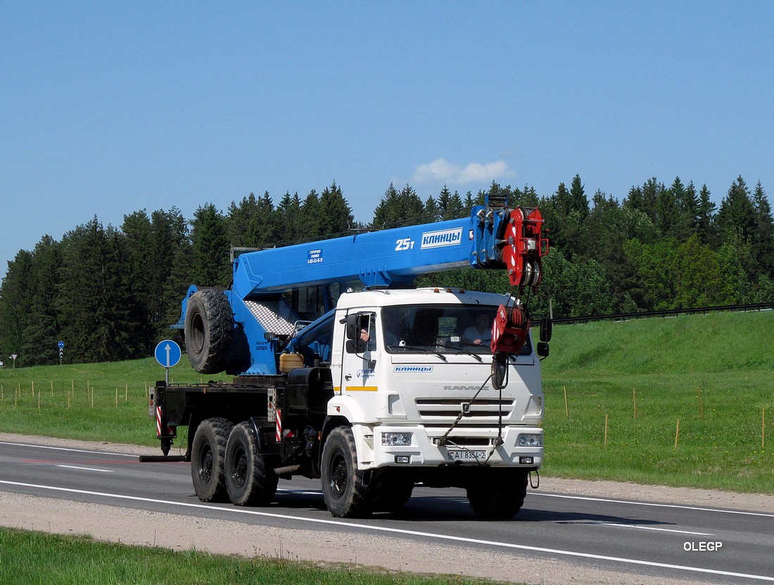 Витебская область, № АІ 8354-2 — КамАЗ-43118 (общая модель)