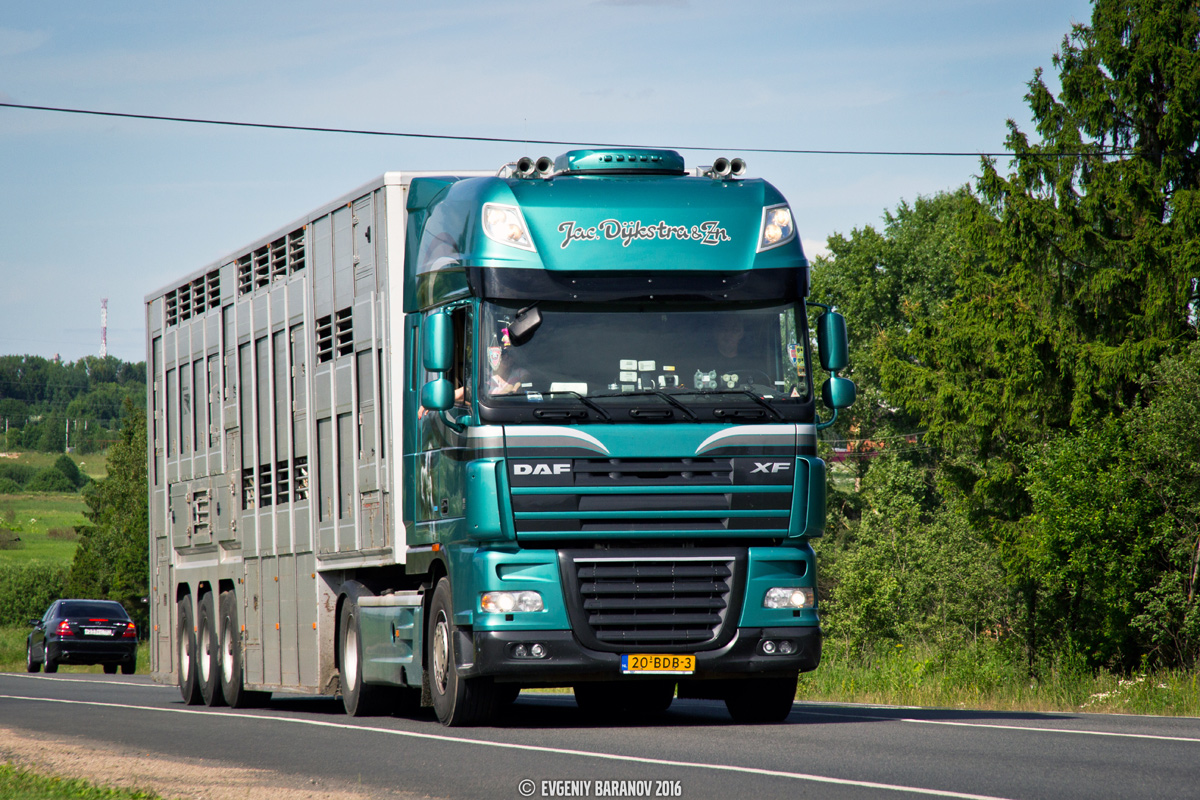 Нидерланды, № 20-BDB-3 — DAF XF105 FT