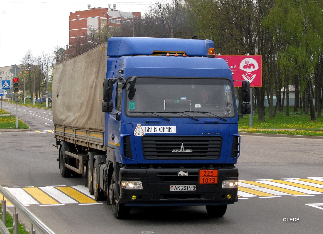 Гомельская область, № АК 2614-3 — МАЗ-6430 (общая модель)