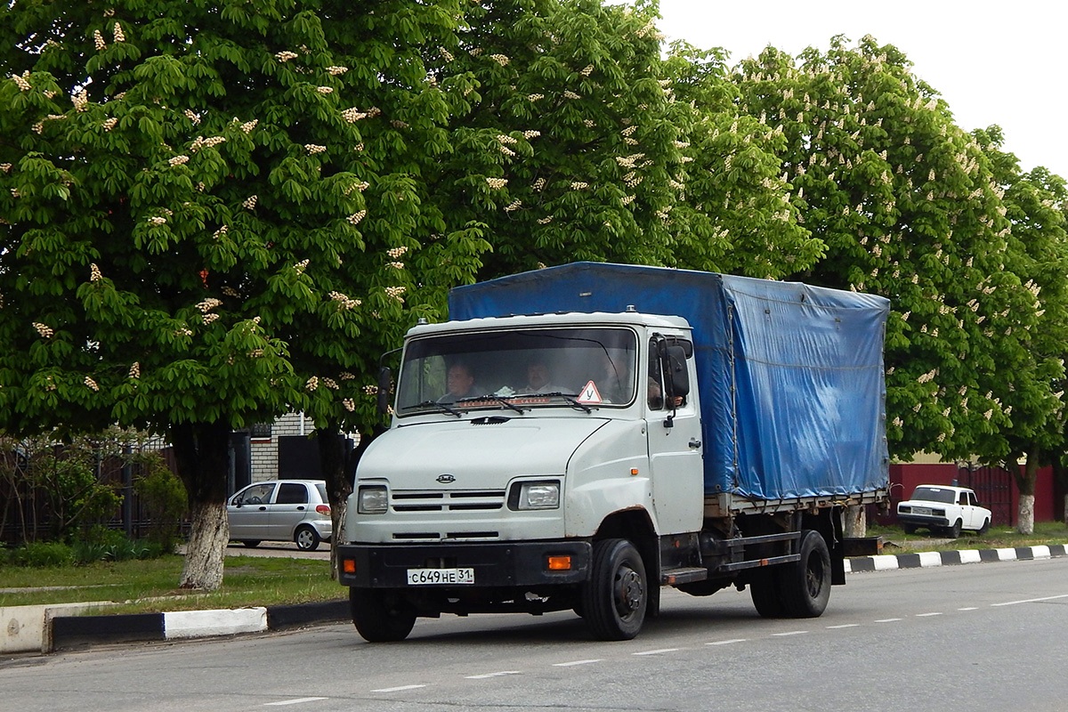 Белгородская область, № С 649 НЕ 31 — ЗИЛ-5301АО "Бычок"