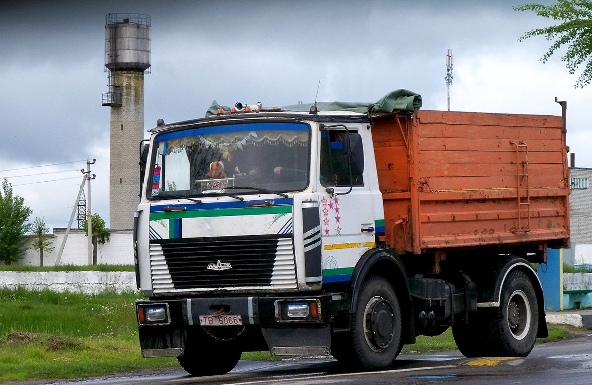 Могилёвская область, № ТВ 5066 — МАЗ-5551 (общая модель)