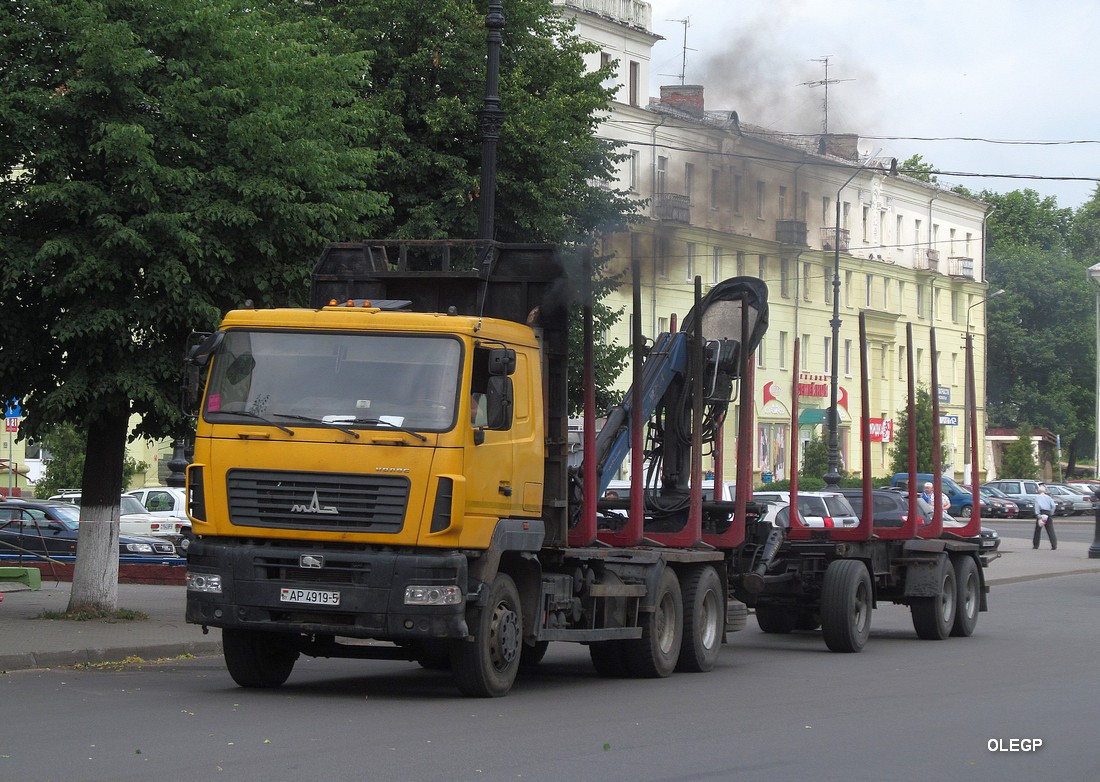 Минская область, № АР 4919-5 — МАЗ-6312 (общая модель)