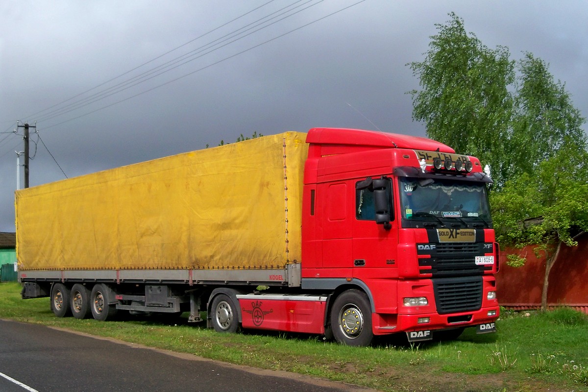 Могилёвская область, № АІ 6026-6 — DAF XF95 FT