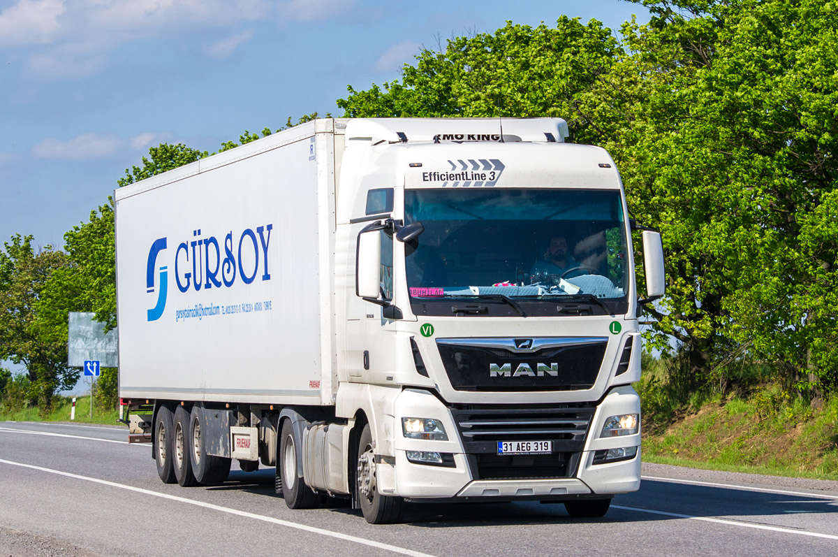 Турция, № 31 AEG 319 — MAN TGX ('2016) 18.500