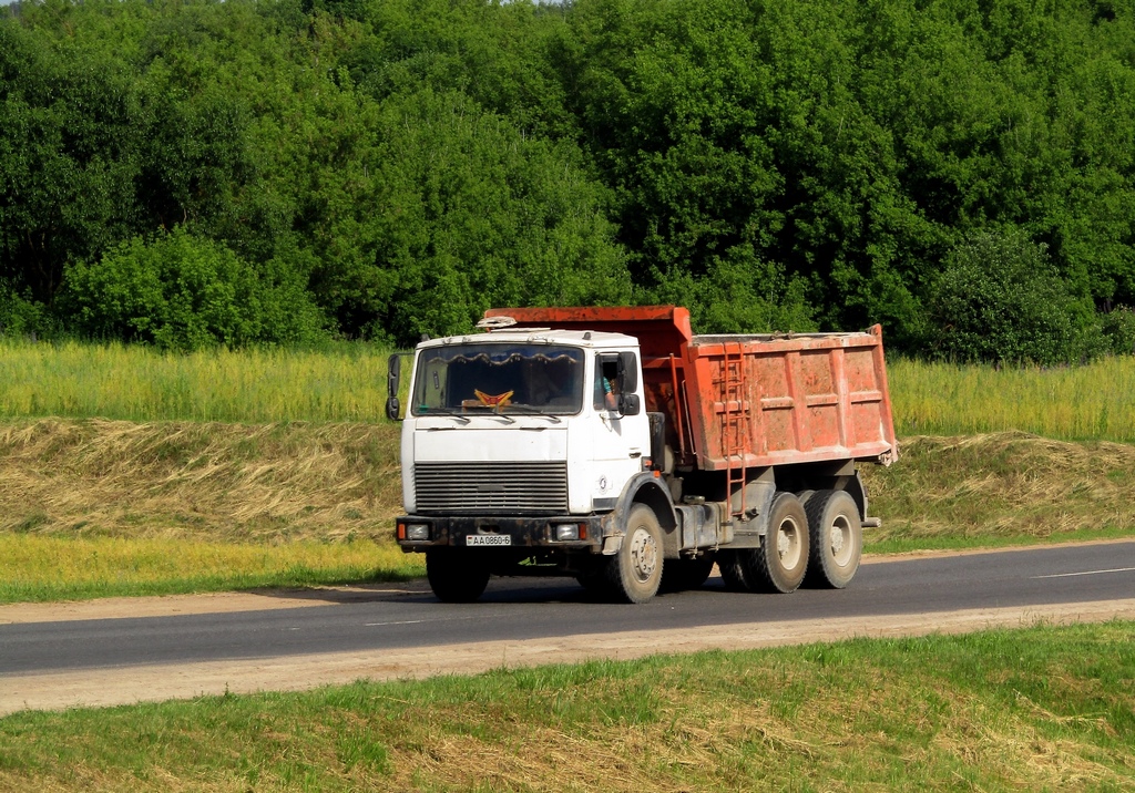 Могилёвская область, № АА 0860-6 — МАЗ-5516 (общая модель)