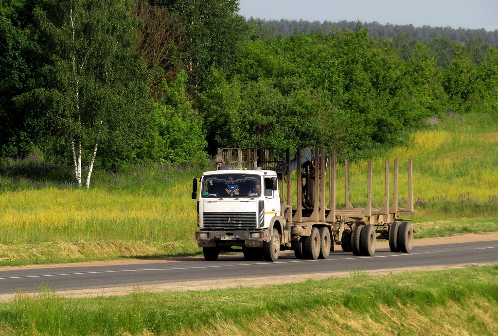 Могилёвская область, № АЕ 2026-6 — МАЗ-6303 (общая модель)