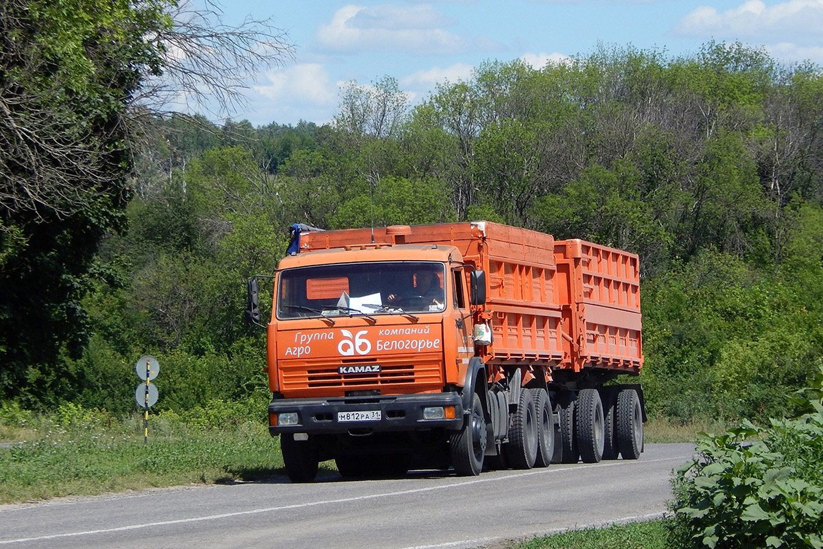 Белгородская область, № М 812 РА 31 — КамАЗ-65115-15 [65115R]