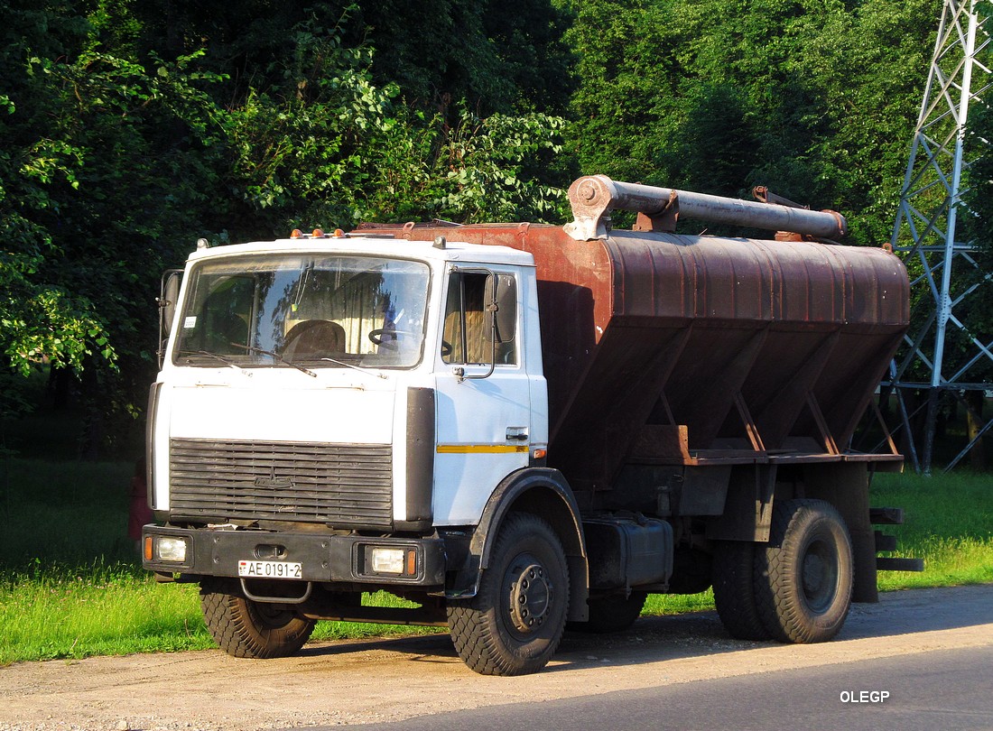 Витебская область, № АЕ 0191-2 — МАЗ-5336 (общая модель)