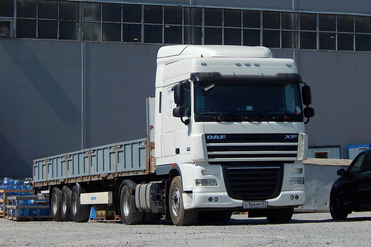 Белгородская область, № О 164 МР 31 — DAF XF105 FT