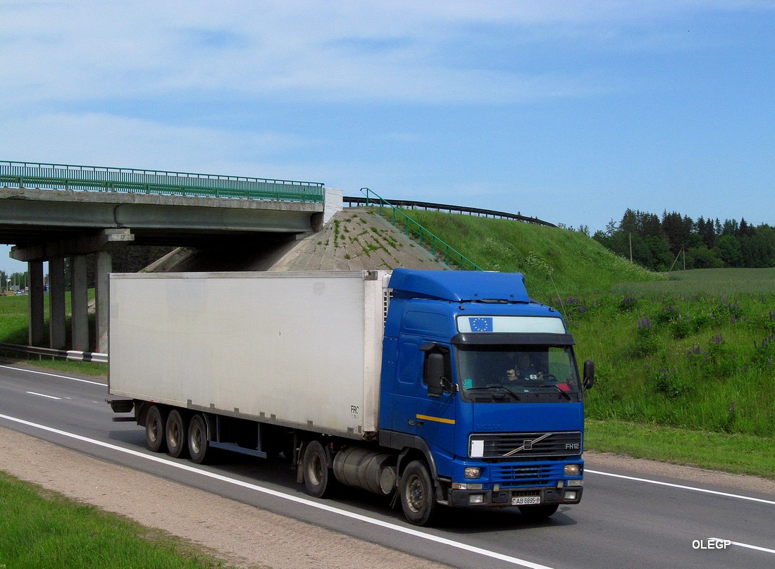 Могилёвская область, № АВ 6895-6 — Volvo ('1993) FH12.420