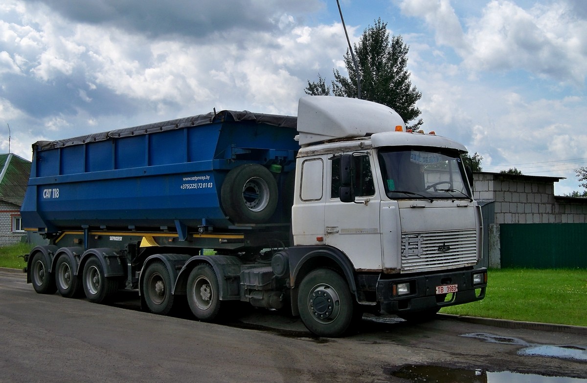 Могилёвская область, № ТВ 3963 — МАЗ-6422 (общая модель); Могилёвская область, № А 9551 А-6 —  Прочие модели