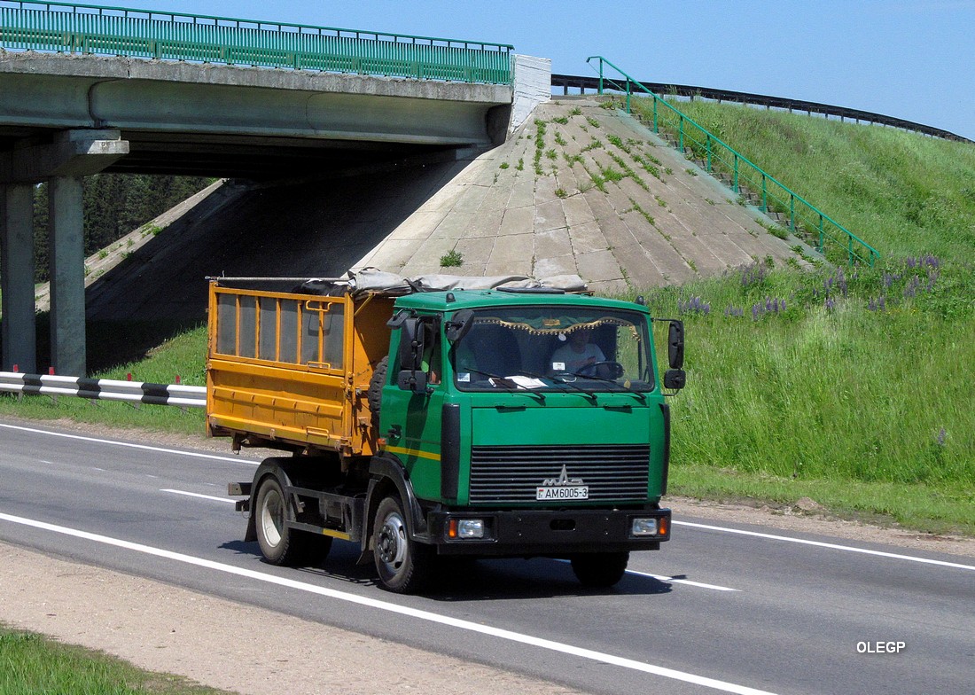 Гомельская область, № АМ 6005-3 — МАЗ-4570 (общая модель)