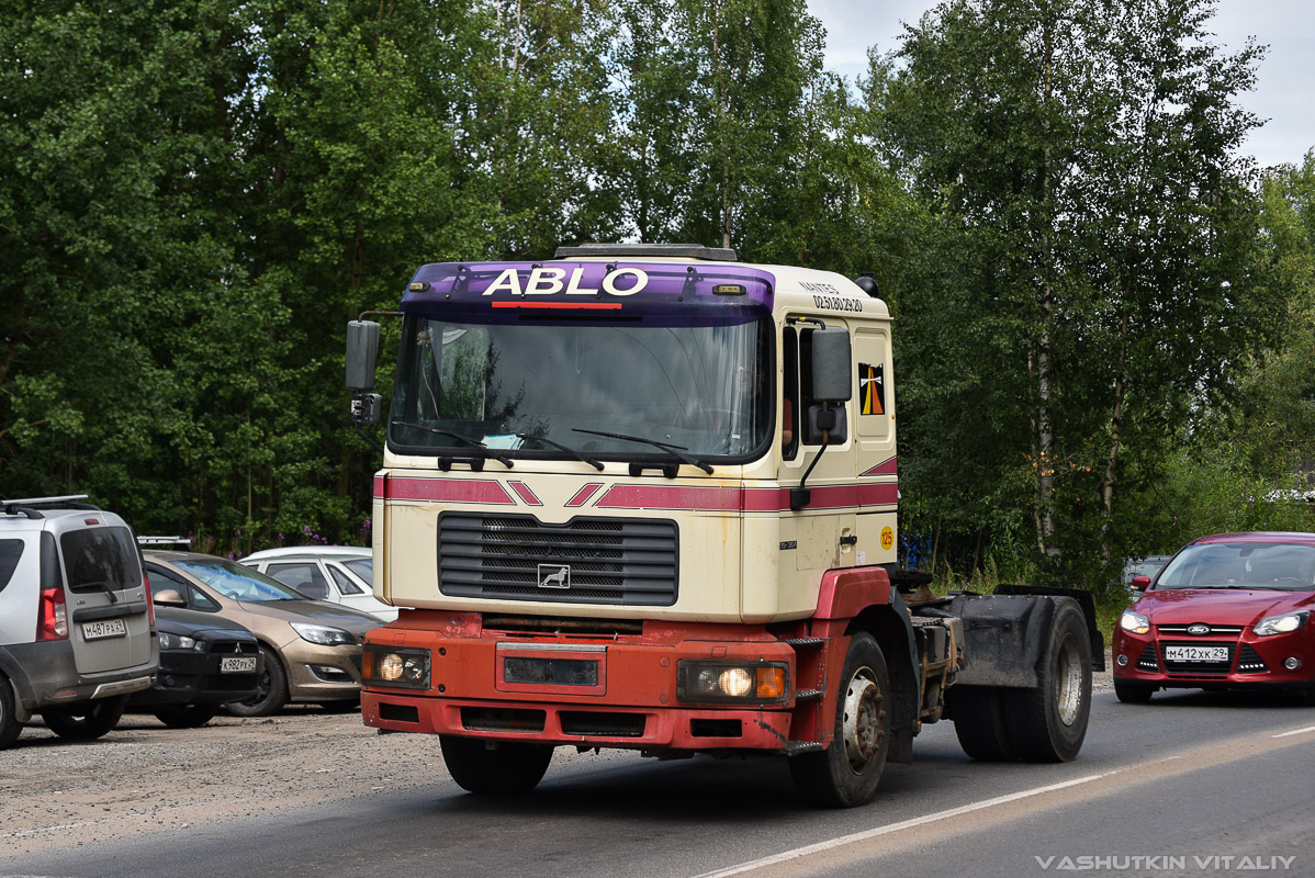 Архангельская область, № М 351 СХ 29 — MAN F2000 19.364