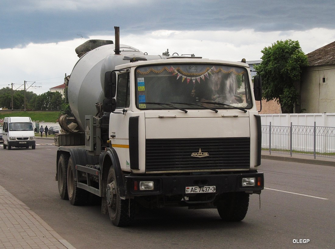 Гомельская область, № АЕ 7437-3 — МАЗ-6303 (общая модель)