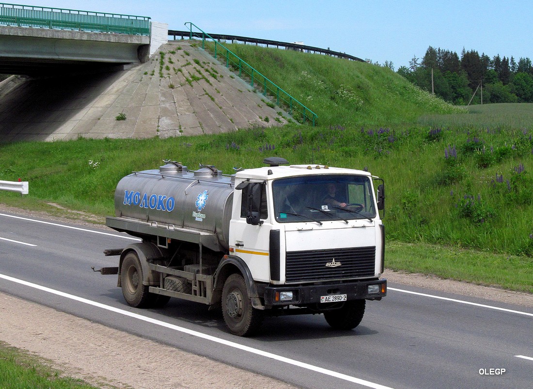 Витебская область, № АЕ 2890-2 — МАЗ-5337 (общая модель)