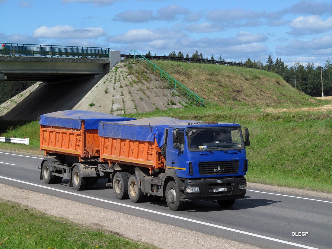 Витебская область, № АМ 1719-2 — МАЗ-6501C9