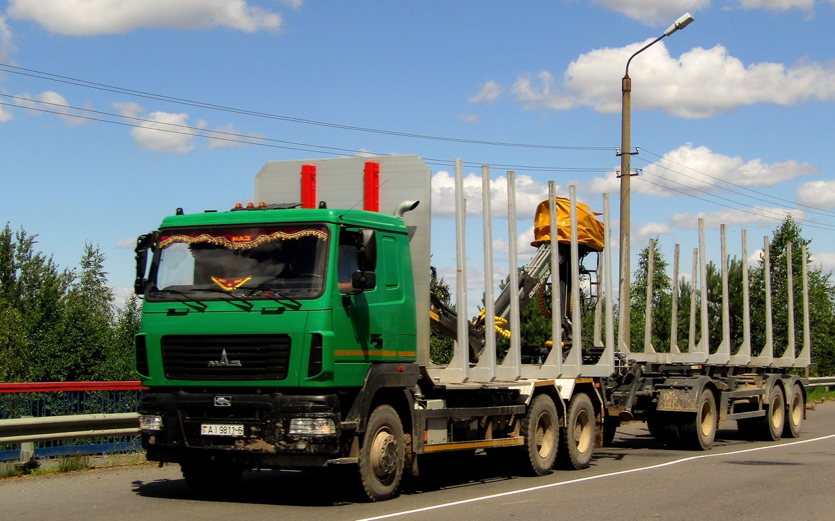 Могилёвская область, № АІ 9811-6 — МАЗ-6312 (общая модель)