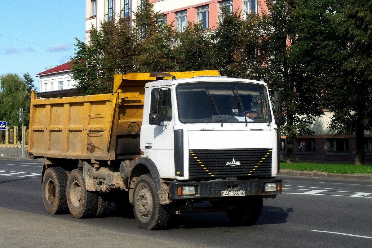 Могилёвская область, № АЕ 1786-6 — МАЗ-5516 (общая модель)