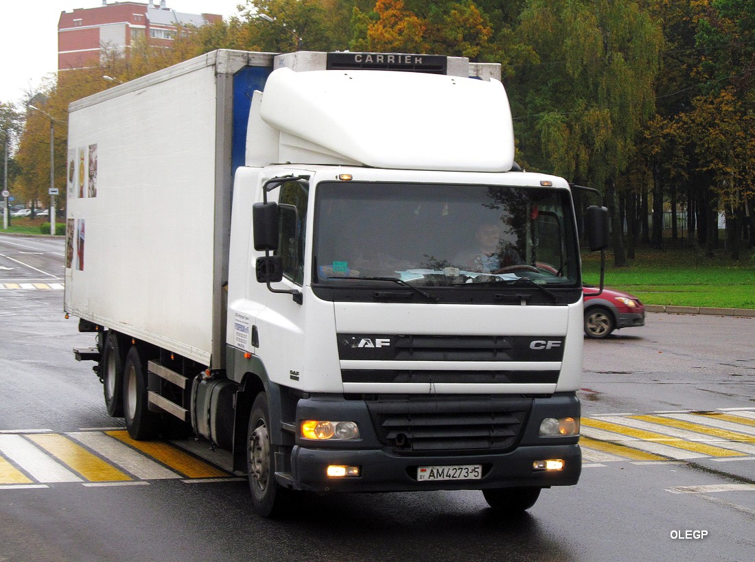 Минская область, № АМ 4273-5 — DAF CF85 FAS