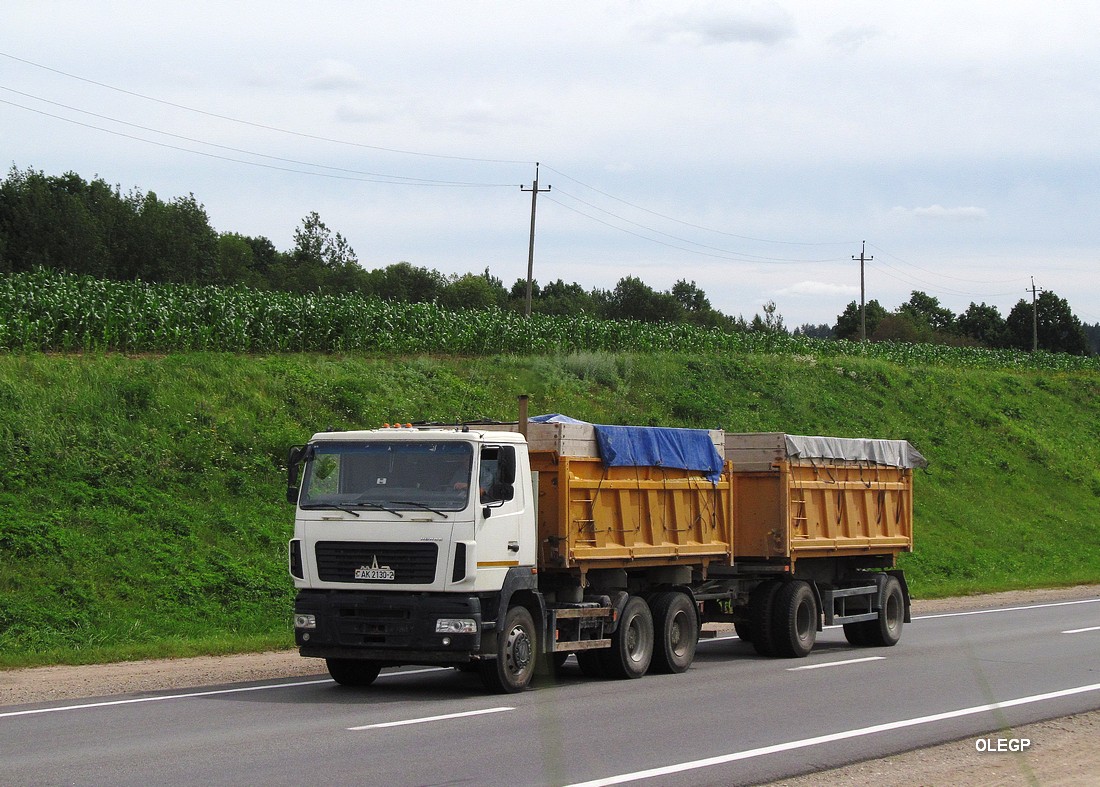 Витебская область, № АК 2130-2 — МАЗ-6501 (общая модель)