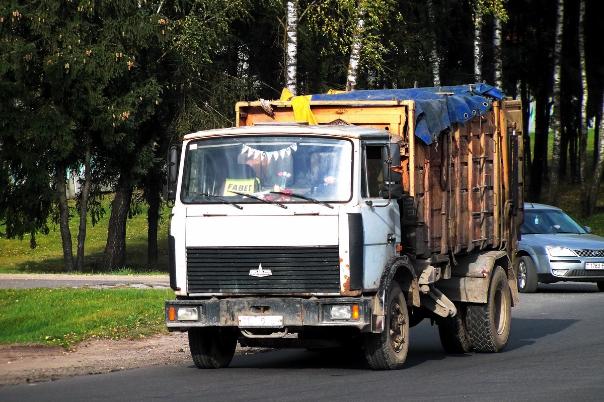 Могилёвская область, № ТЕ 9069 — МАЗ-53371