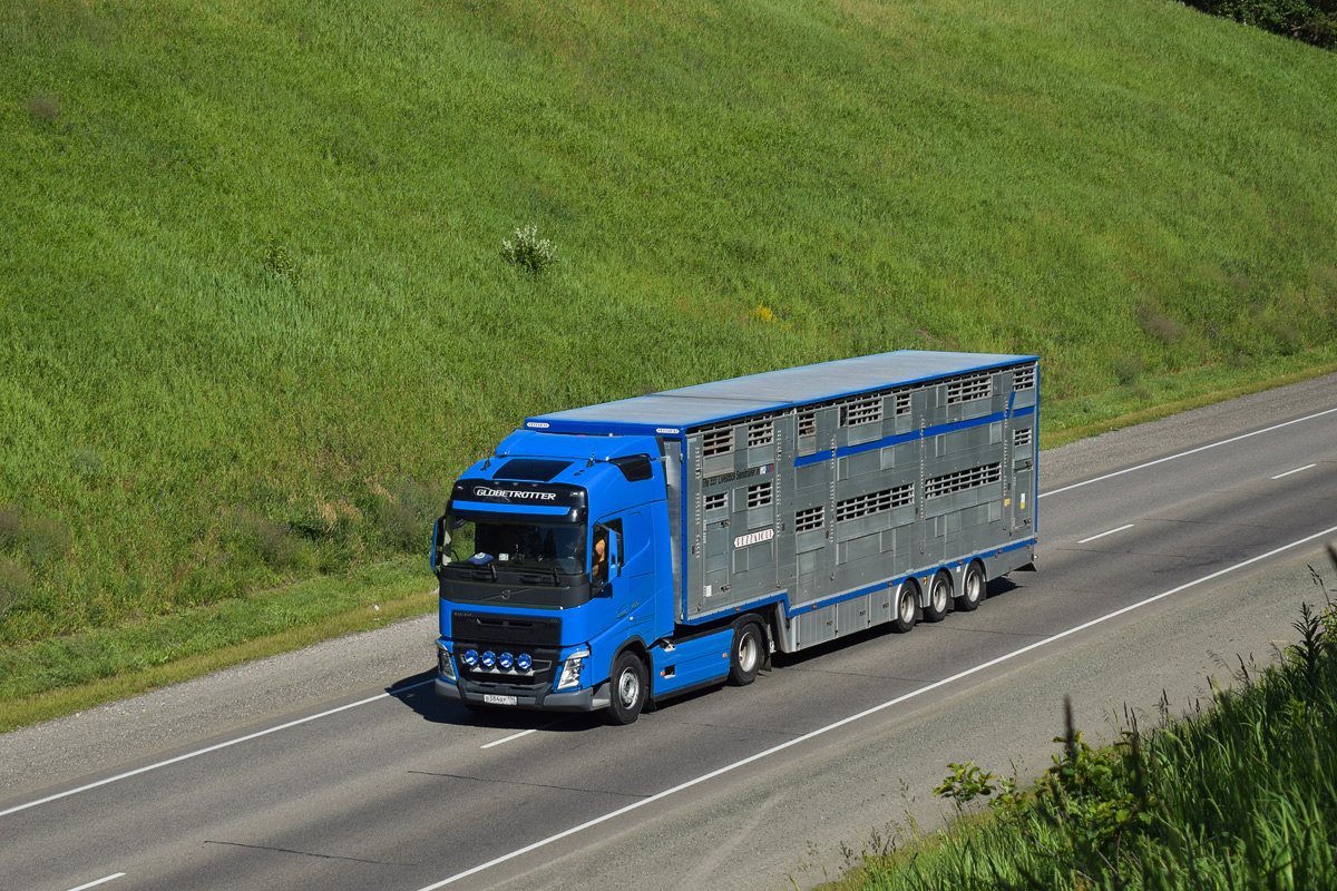 Свердловская область, № В 384 ВР 196 — Volvo ('2012) FH.460 [X9P]